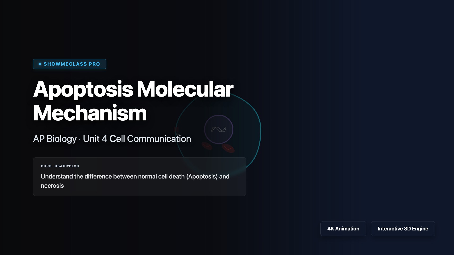 Apoptosis Molecular Mechanism visualization thumbnail
