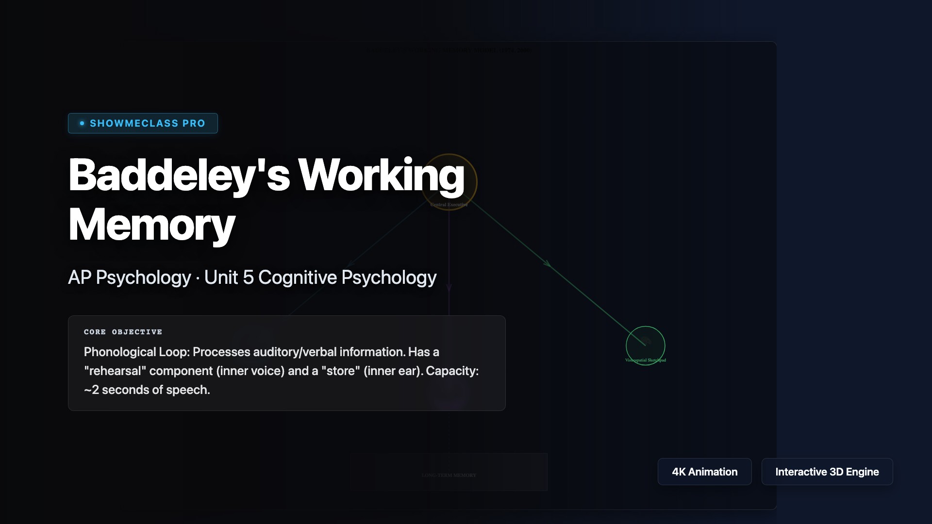 Baddeley's Working Memory Model visualization thumbnail