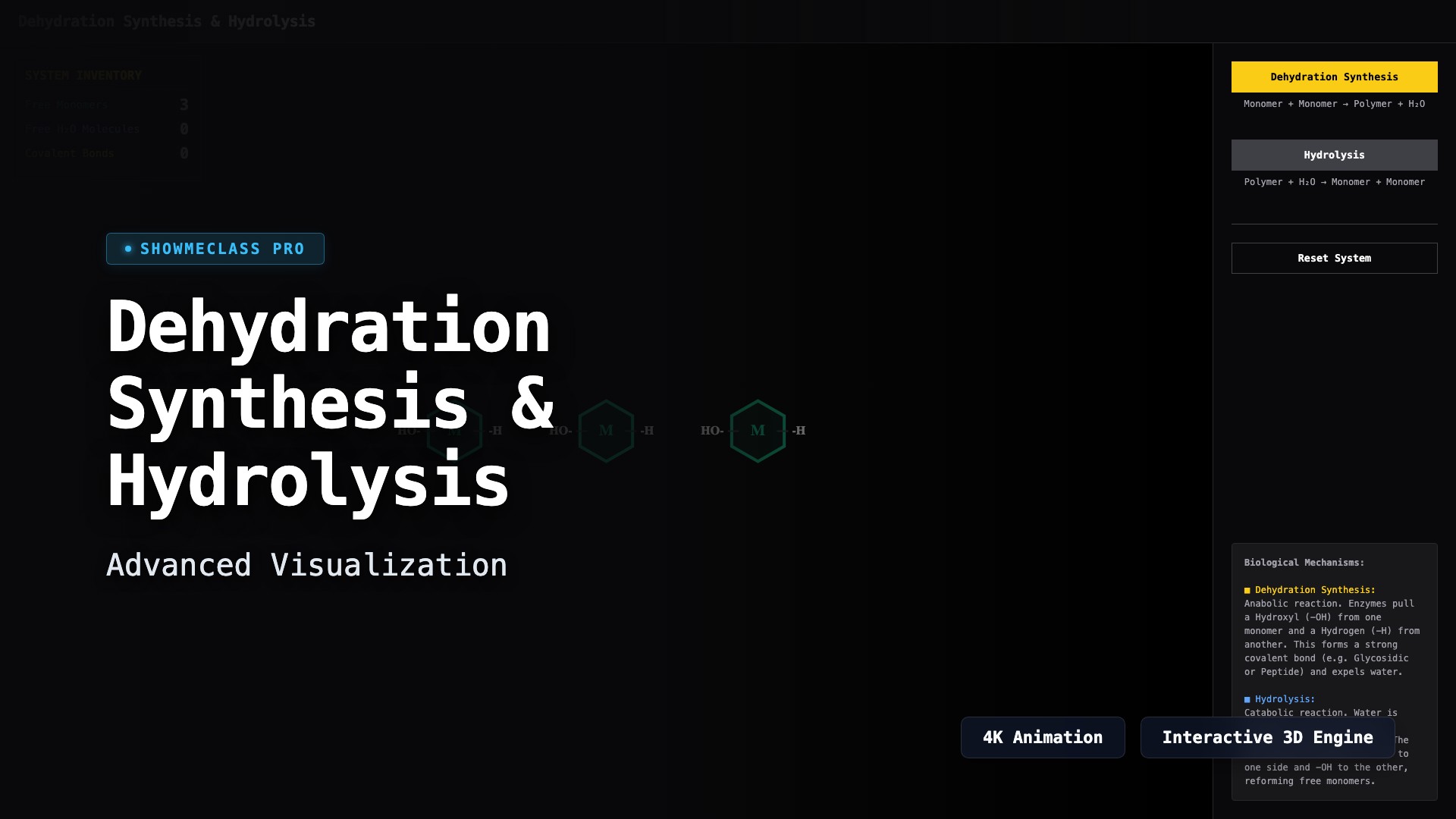 Biomolecule Dehydration Synthesis & Hydrolysis visualization thumbnail