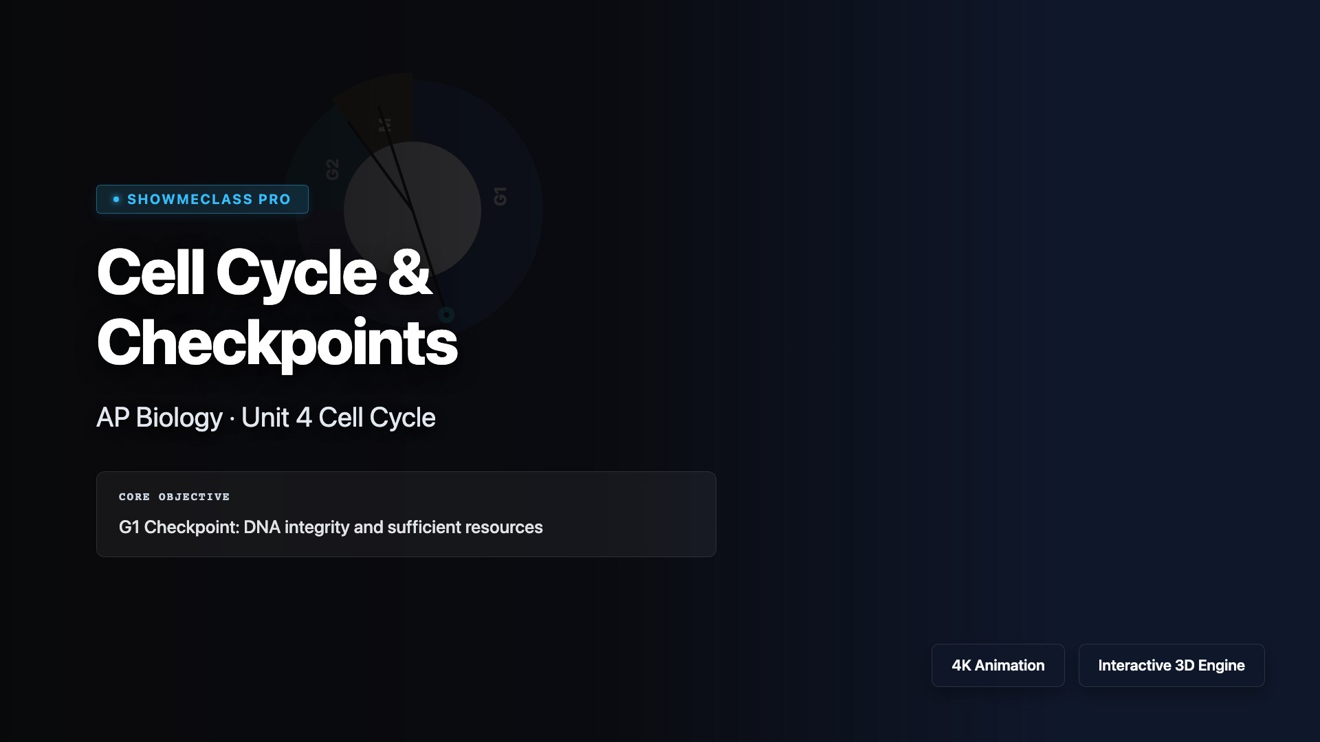 Cell Cycle & Checkpoints visualization thumbnail