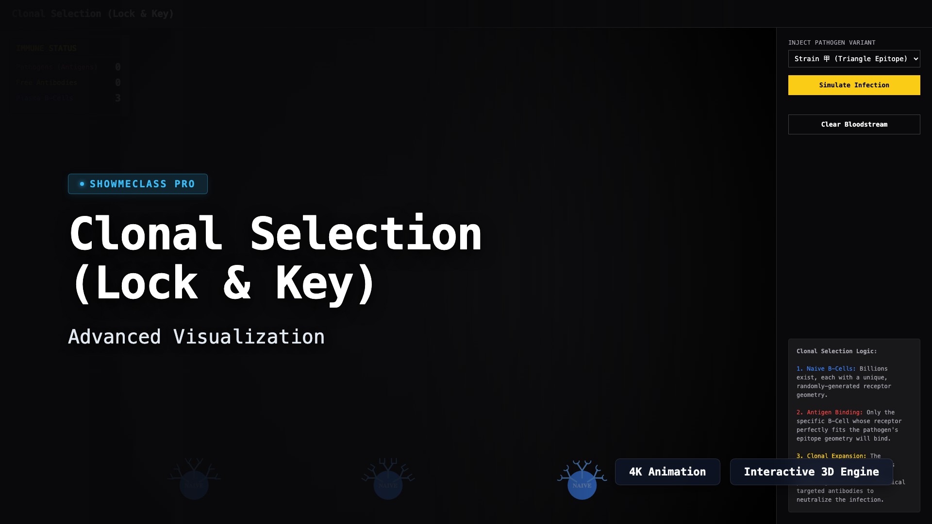 Immune System Clonal Selection visualization thumbnail