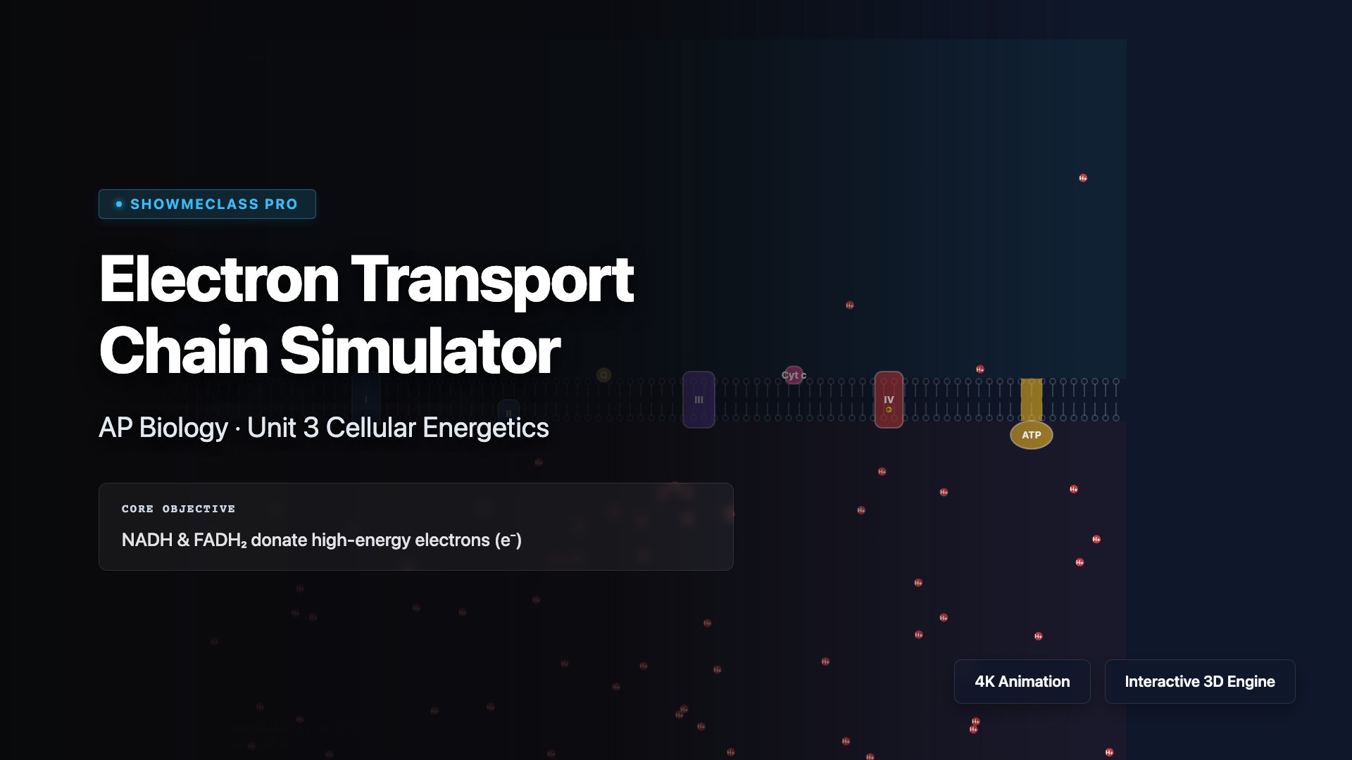 Electron Transport Chain Simulator visualization thumbnail