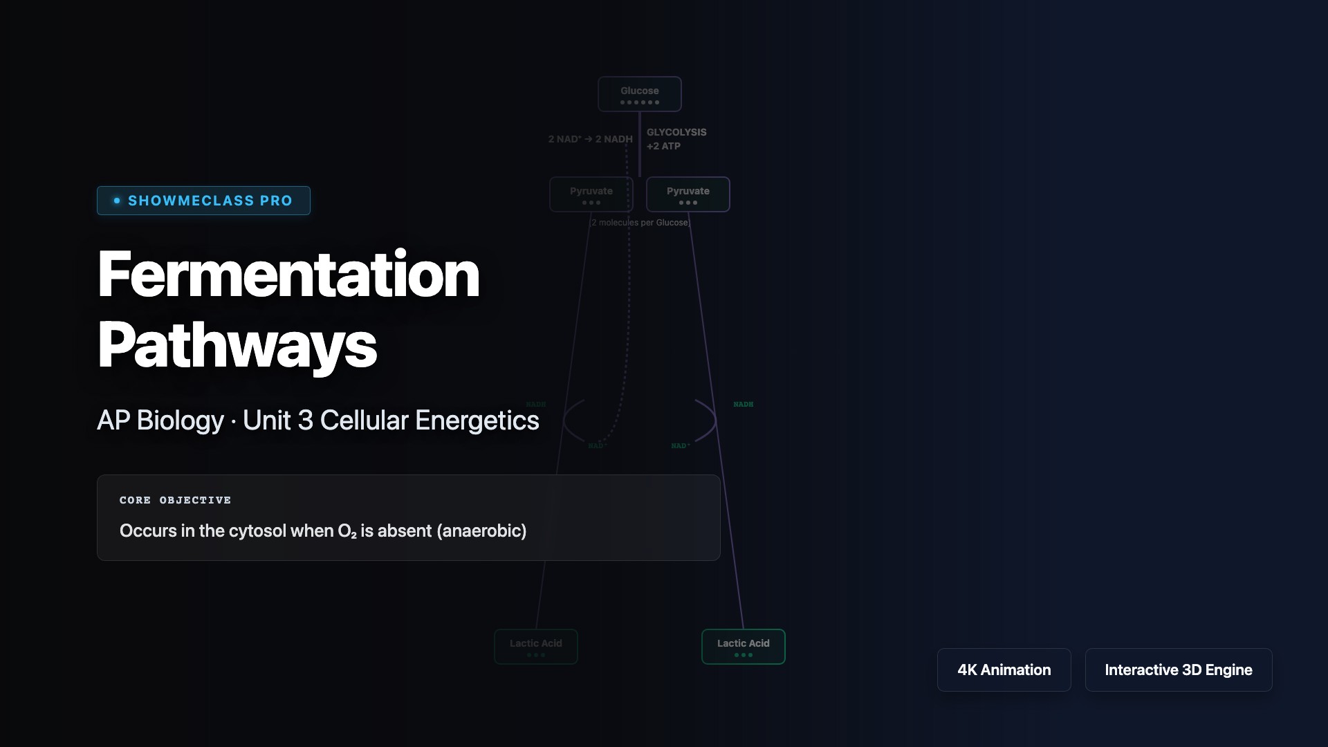 Fermentation Pathways Simulator visualization thumbnail