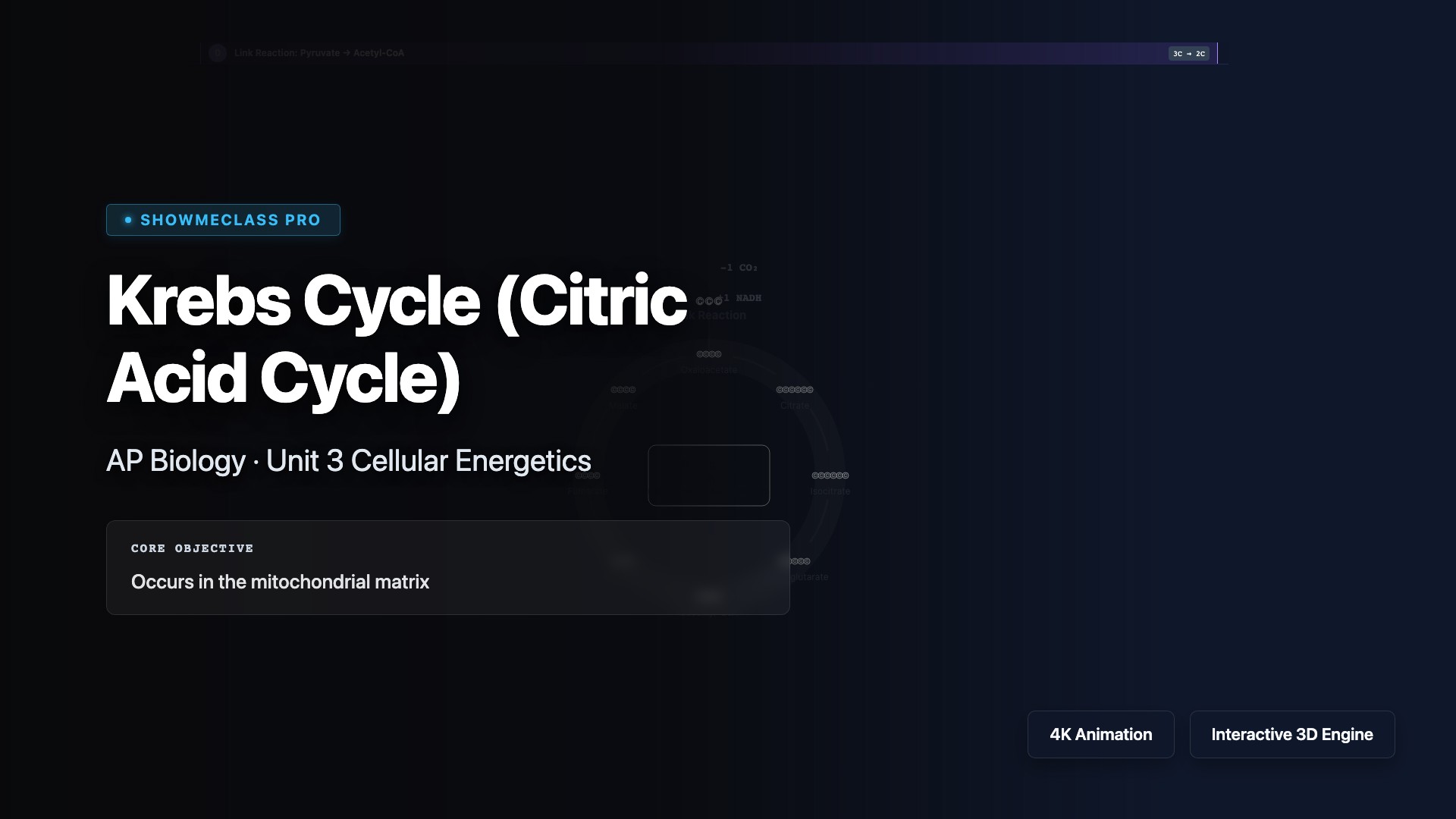 Krebs Cycle Step-by-Step visualization thumbnail