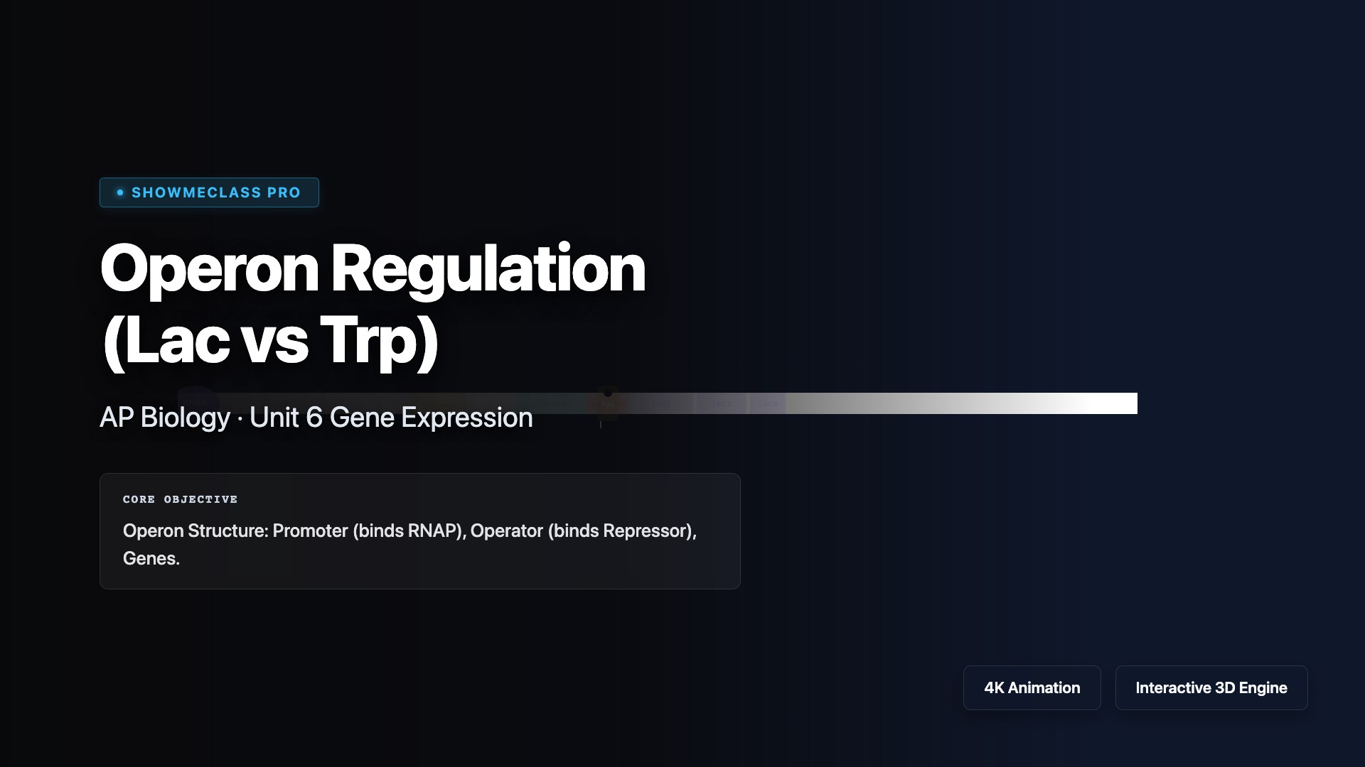 Operon Regulation (Lac vs Trp) visualization thumbnail