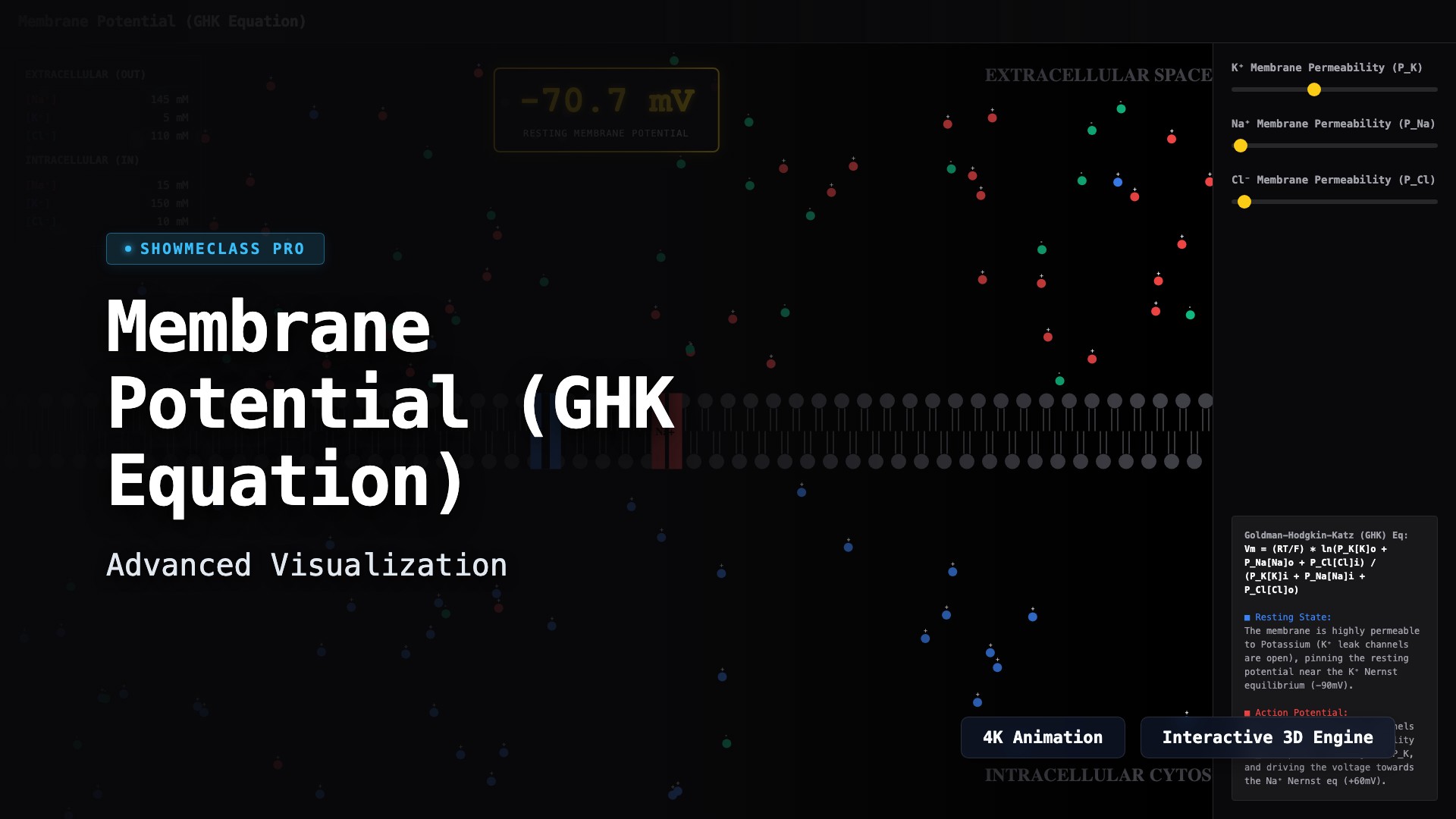 Membrane Potential & Nernst Equation visualization thumbnail