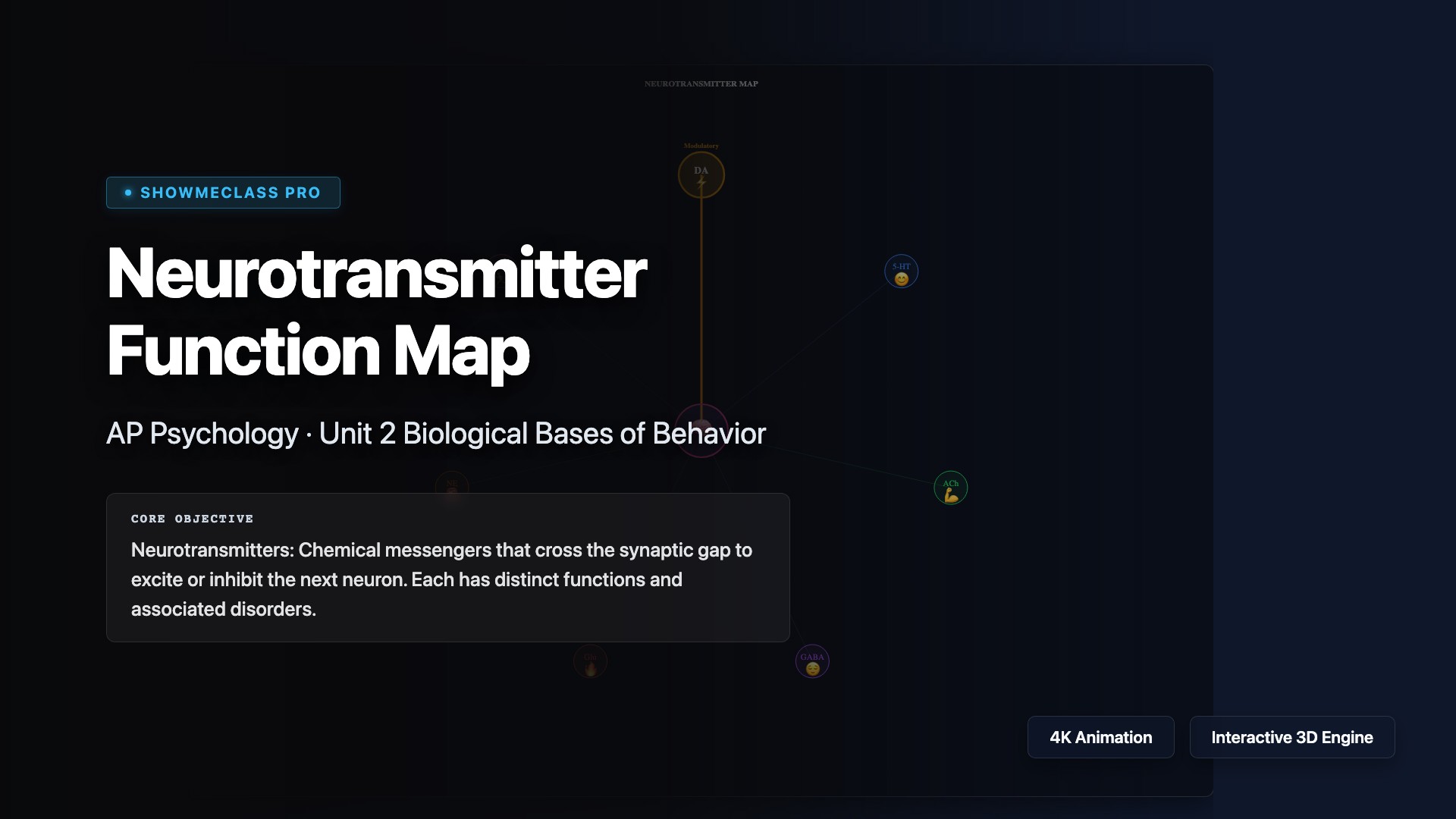 Neurotransmitter Function Map visualization thumbnail