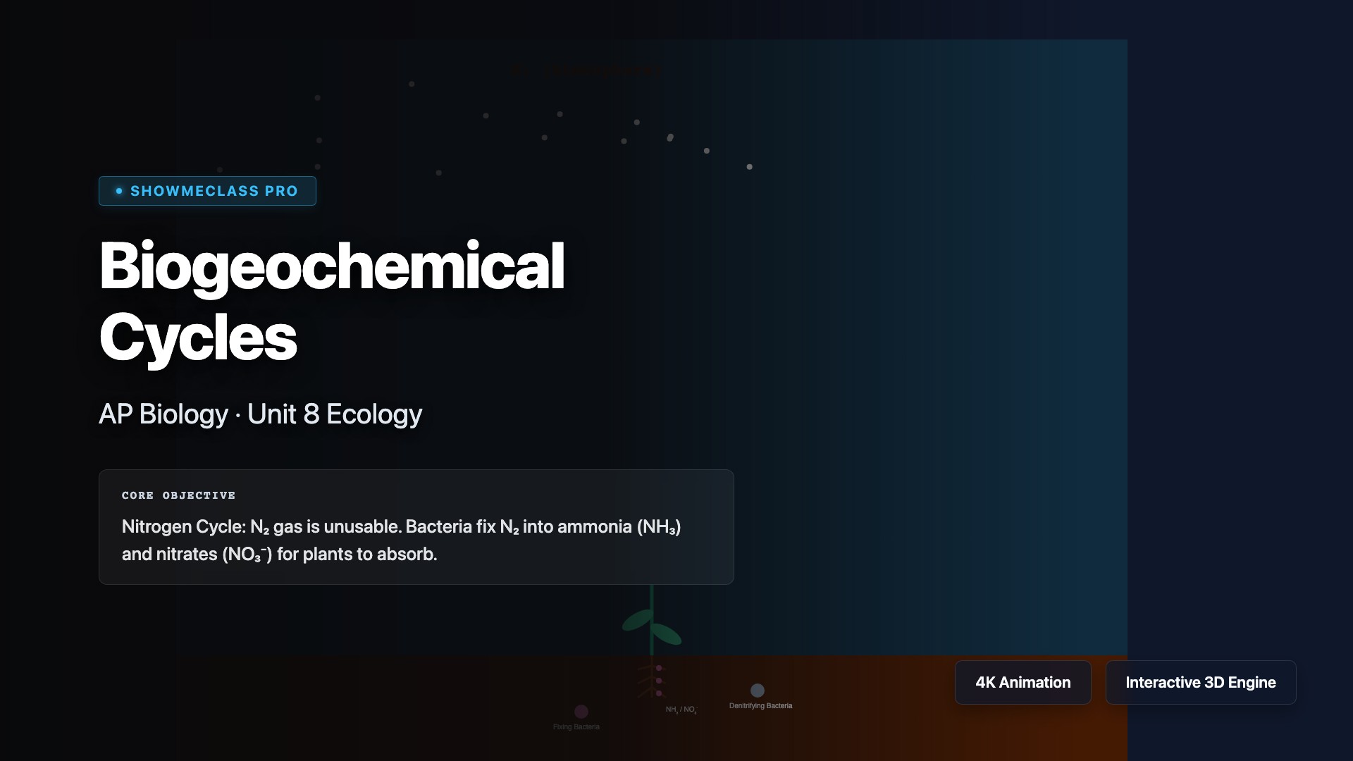Biogeochemical Cycles (N & P) visualization thumbnail