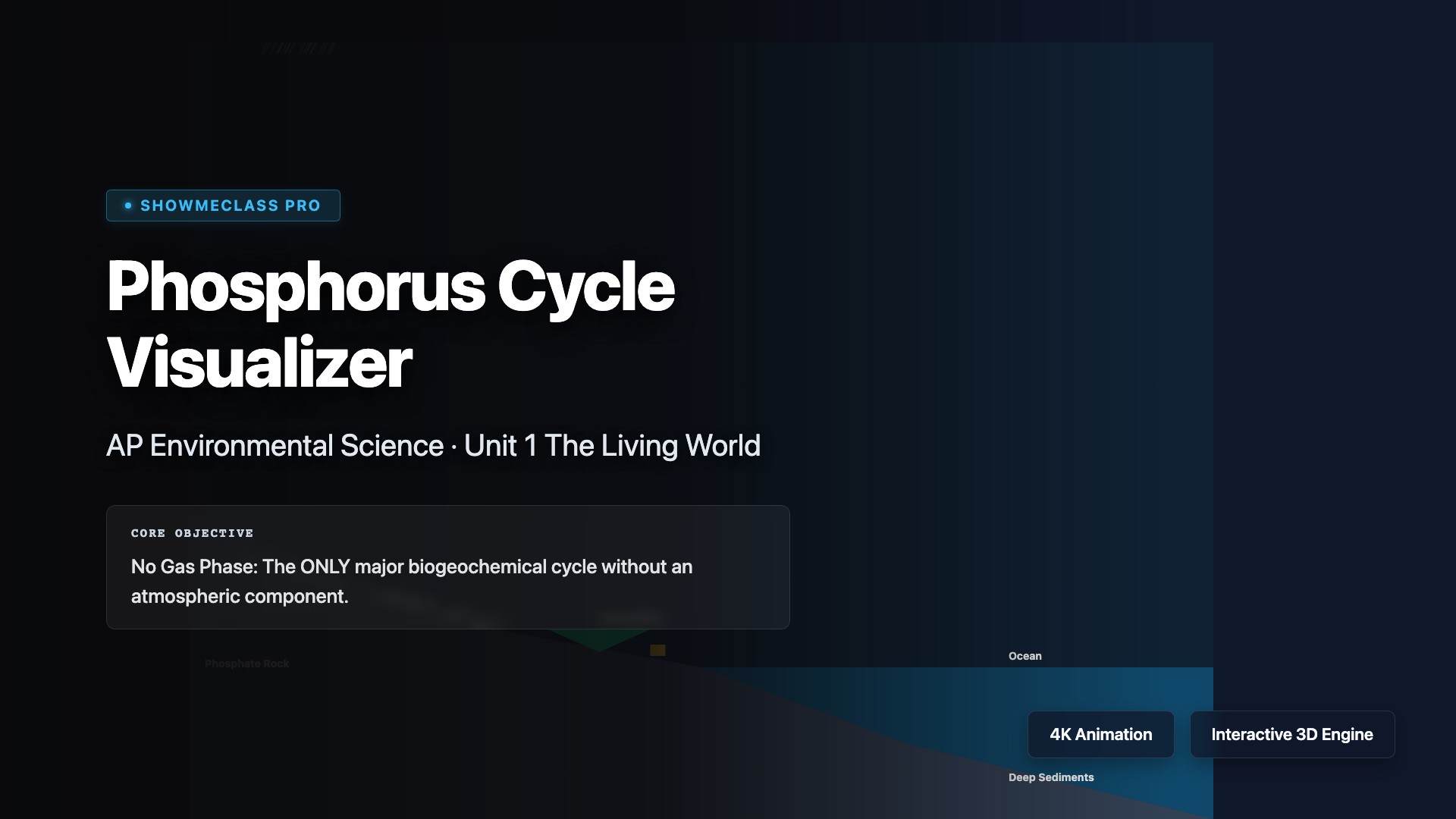 Phosphorus Cycle Visualizer visualization thumbnail