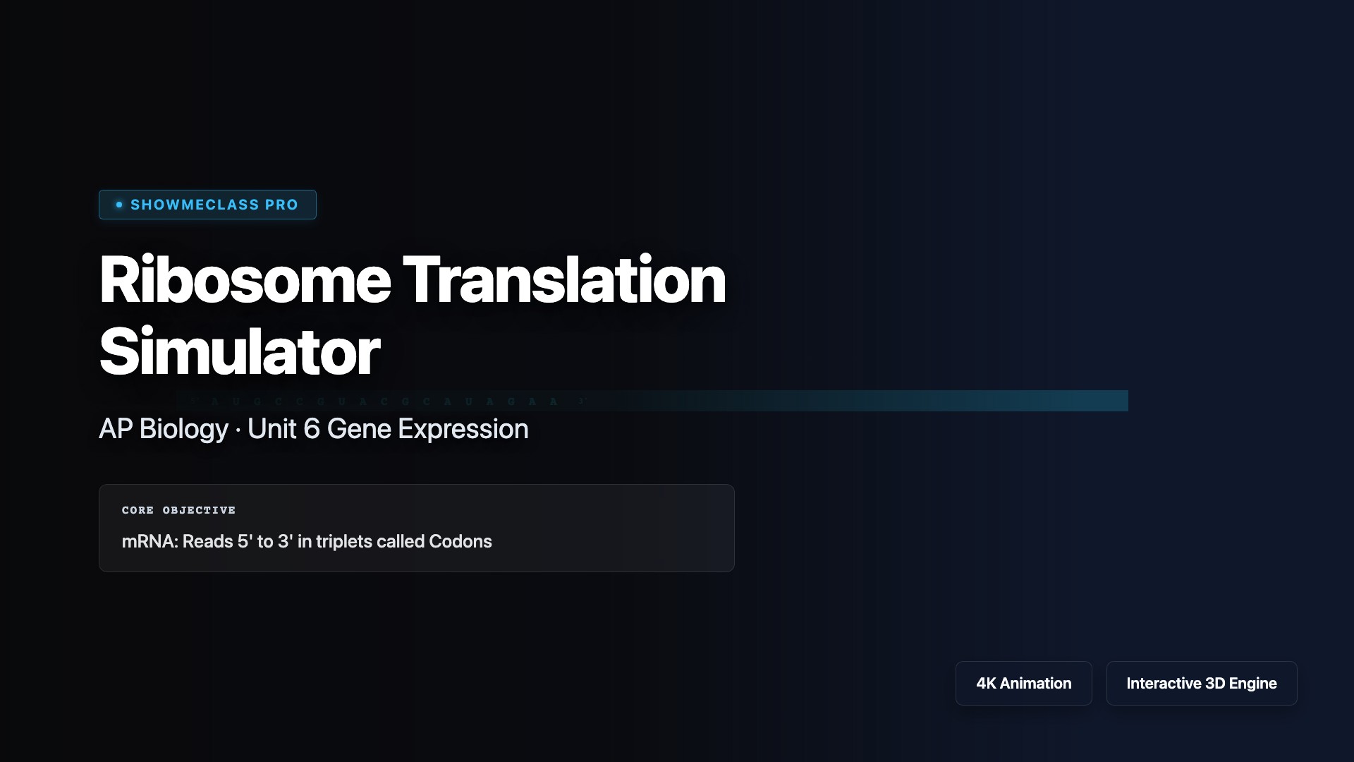 Ribosome Translation Simulator visualization thumbnail