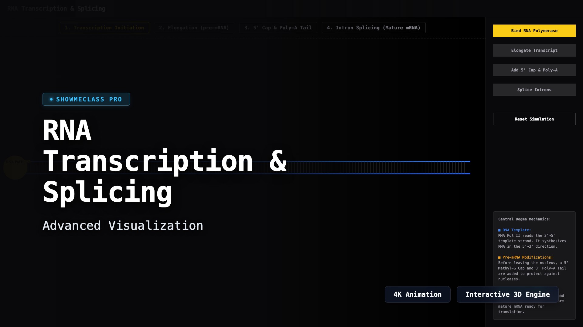 RNA Transcription & Splicing Processing visualization thumbnail