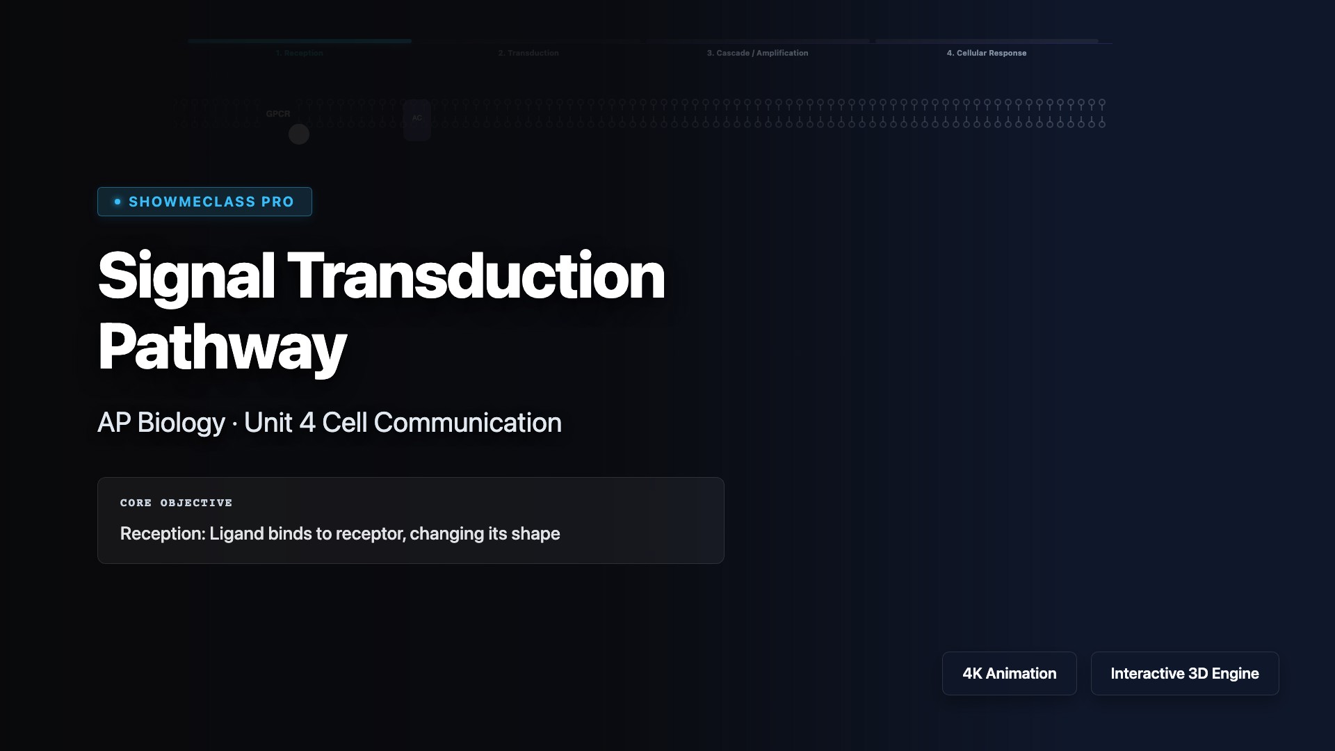 Signal Transduction Pathway visualization thumbnail